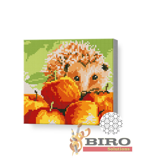 Mozaic cu diamante 20x20 cm Arici prin mere